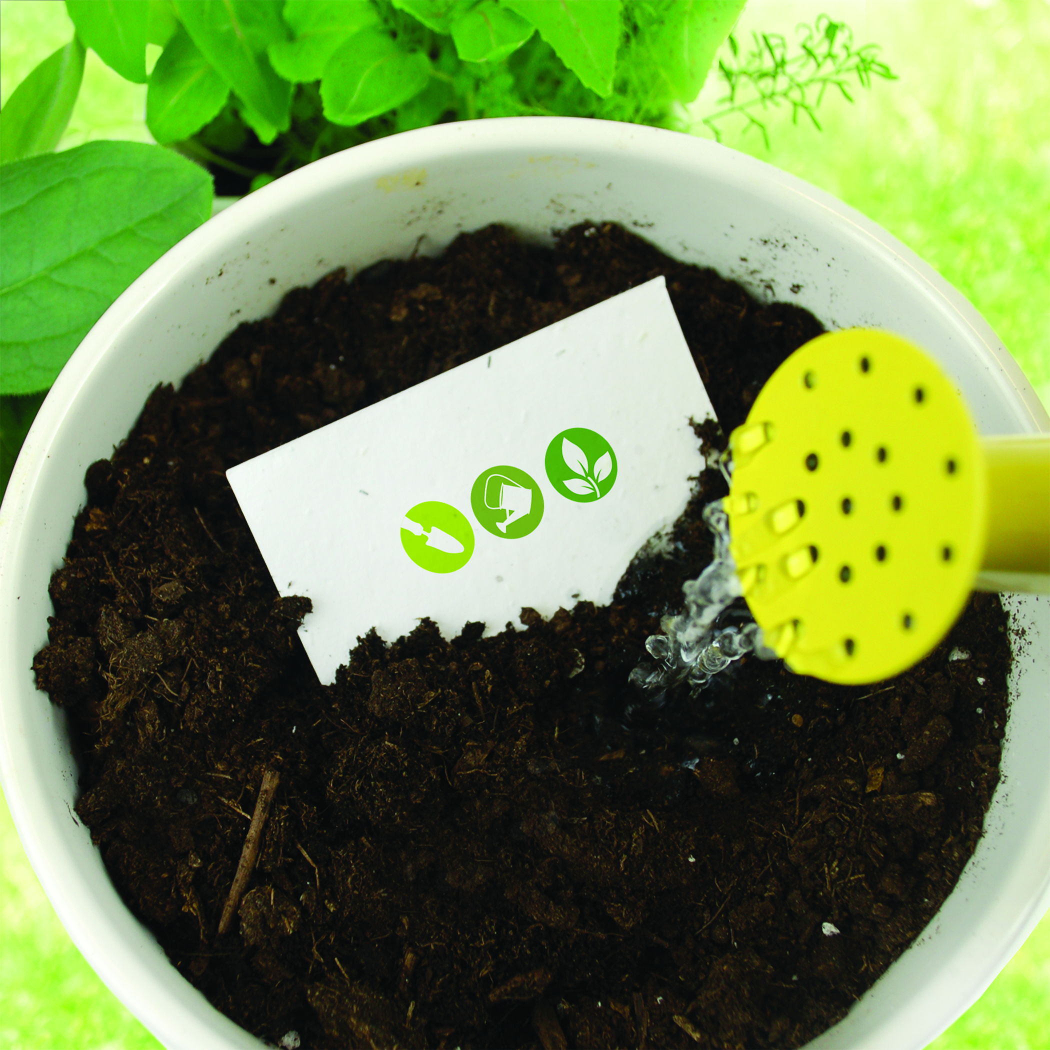 Seed Paper being planted and watered
