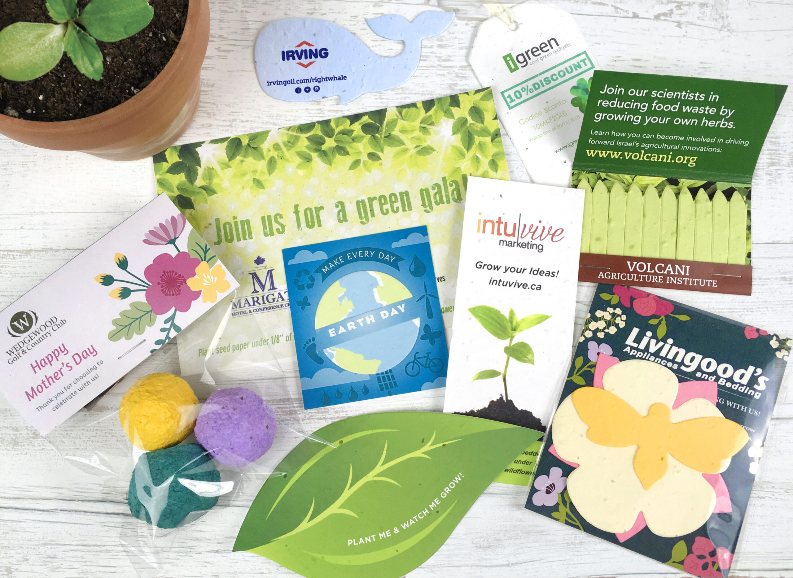 Seed Paper products from Botanical PaperWorks