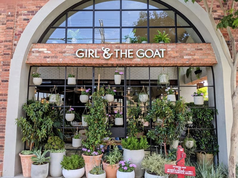 Girl and the goat
