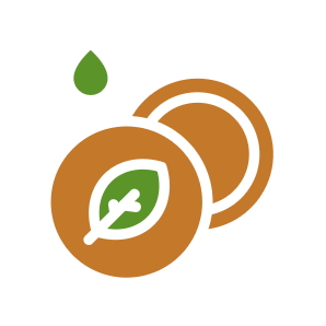 LeCercleIconSub